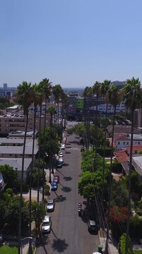 Aerial shot looking along a residential street lined with tall palm trees and parked cars toward city buildings under a clear sky in Los Angeles, California.