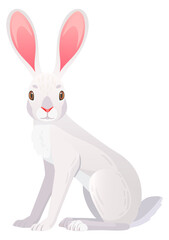 Funny white jackrabbit with long ears. Wild rabbit © ssstocker