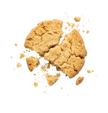 A single golden brown peanut butter cookie broken into pieces with scattered crumbs on white
