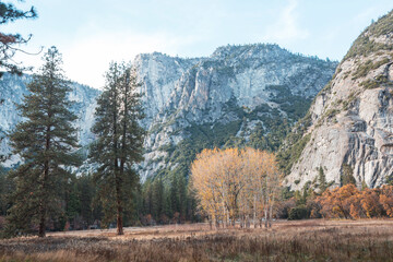 Obraz premium Autumn in Yosemite