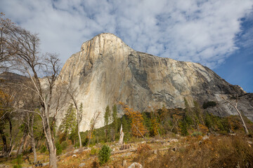 Obraz premium Autumn in Yosemite
