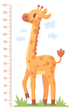 Giraffe meter. Kid height scale. Cartoon animal chart