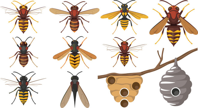 Wasp and Hornet Insect Vector Icon Set Featuring Yellowjackets Honeybees and Hanging Nests on Branches for Pest Control and Wildlife Graphic Designs