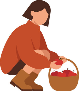 Flat Woman Squatting and Harvesting Apples into Basket Vector Illustration   