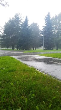 Rain in the park vertical. The rainy season, with overcast, damp, and humid weather. The rainy season, with raindrops in the park among the sidewalks, grassy clearings, and asphalt paths next to the t