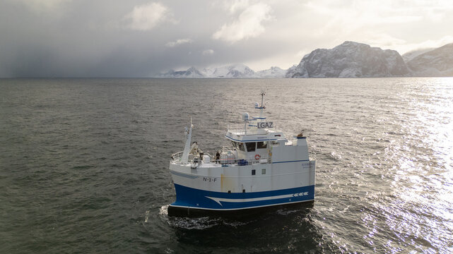 Aerial view of a white and blue fishing boat navigating the cold waters near the snow-covered mountains of Reine, Nordland, Norway.