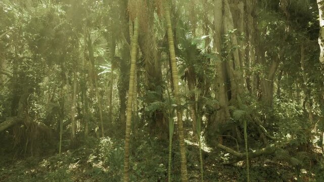 Ancient Phuket banyan tree rising through thick roots, dangling aerial roots, filtered light, sacred atmosphere, sense of scale and timeless presence