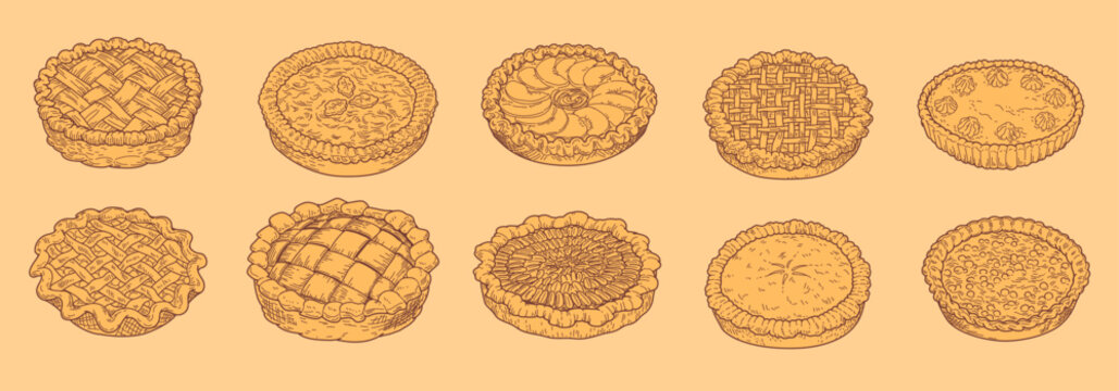 Homemade pie sketch. Drawing tart. Autumn kitchen, fruit cake. Line art apple cherry pastry, Thanksgiving traditional. Chalk texture top view. Vector vintage bakery hand drawn isolated illustration