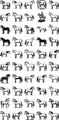 Fototapeta premium 49+ Diverse Horse Breed Illustrations: A collection of graphic illustrations showcasing various horse breeds, each rendered in a static pose, highlighting their distinct characteristics and forms.