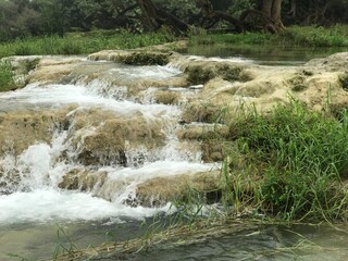 Water cascading over limestone terraces with green grass and trees at Wadi Darbat, Dhofar, Oman © Ahmed