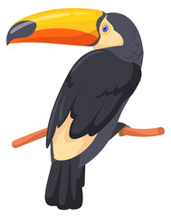 Obraz premium Toucan cartoon icon. Paradise bird with big beak