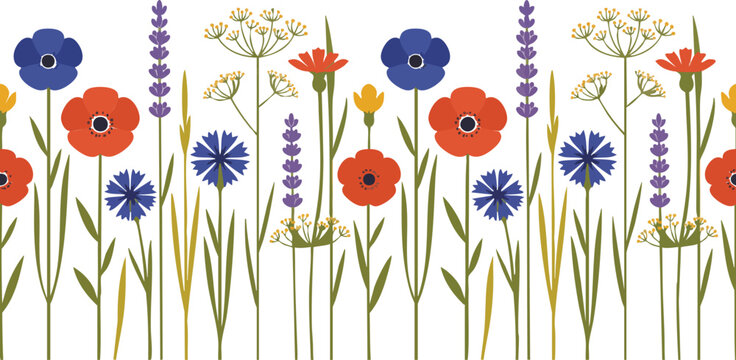 Seamless pattern of colorful meadow wildflowers including red poppies and blue cornflowers on white background design
