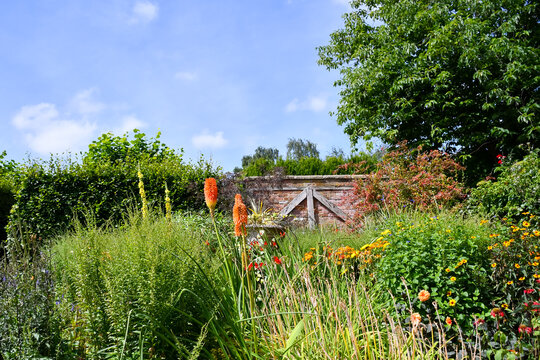 Country garden in rural Shropshire UK with various orange and golden coloured flowers growing together creating a beautiful display on a summers day.