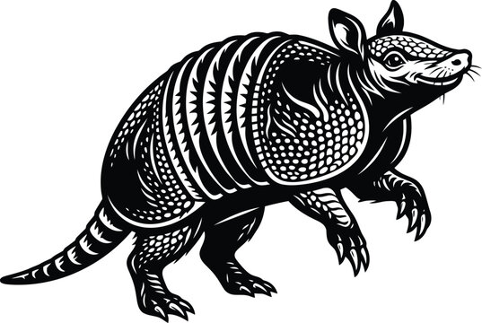 Black and white illustration of an armadillo