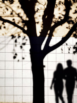 Couple walking in front of a wall with a tree shadow casting an illusion on the right