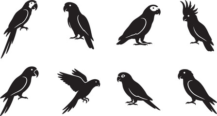 Fototapeta premium Beautiful wild parrots and exotic cockatoo bird silhouettes