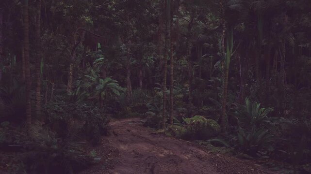 Dark forest trail with muddy mound and dense undergrowth, low light, damp earth, mossy tree bases, scattered ferns, quiet atmosphere evokes solitude
