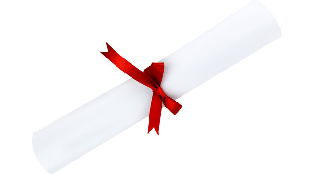 diploma, scroll, certificate, degree, graduation scroll, white scroll, diploma PNG, scroll PNG, certificate PNG, PNG