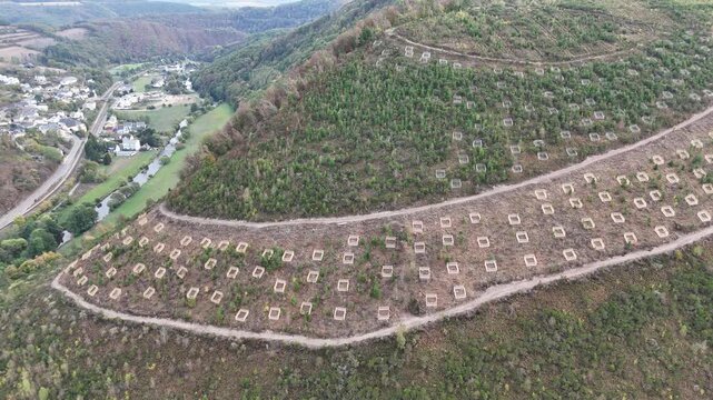 vue a&eacute;rienne panoramique d'une parcelle de for&ecirc;t pr&egrave;s de Bourscheid au Grand Duch&eacute; du Luxembourg. Des jeunes arbres sont replant&eacute;s au sommet d'une colline &agrave; intervalles r&eacute;guliers sur des friches.