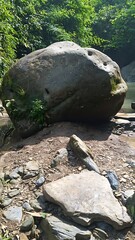 Large natural rock formation surrounded by forest and small stones © md