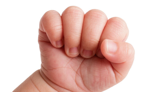 Newborn baby s clenched fist with tiny fingernails, isolated on transparent background