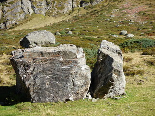 A large, shattered, broken boulder lies in front of a rock face. The grass and plants around it have taken on autumnal colors. Valzifenz tal in the Austrian Alps. © Svenja Wynter