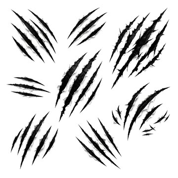 Claw scratch marks set vector illustration of wild animal attack slash damage symbols isolated