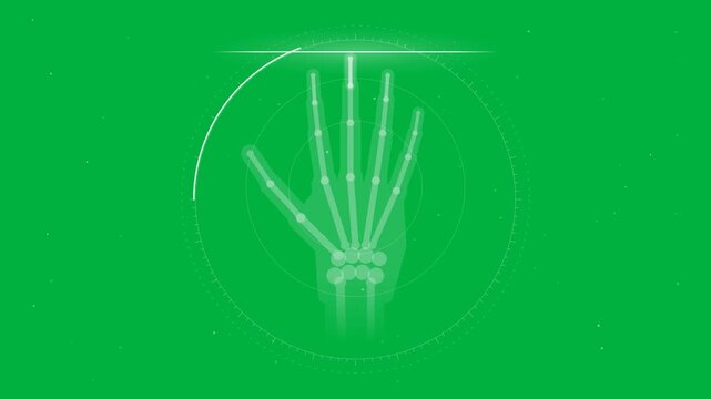 Medical hand bone skeleton scanning technology for diagnostic health awareness and clinical digital research on green background
