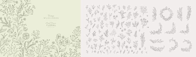 Obraz premium Set of hand drawn flowers and elements. Whimsy botanical elements for invitation, save the date card. Botanical doodle trendy greenery