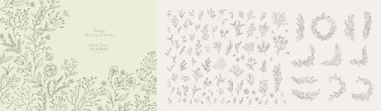 Set of hand drawn flowers and elements. Whimsy botanical elements for invitation, save the date card. Botanical doodle trendy greenery