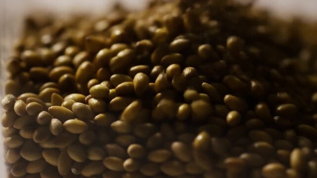 Coffee beans pour and settle into a glass container in a warm macro close-up. Coffee product advertising, roastery promotion, and cafe marketing.