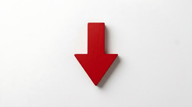 A single red arrow pointing downwards signifies decline, decrease, or negative trend in business or data.