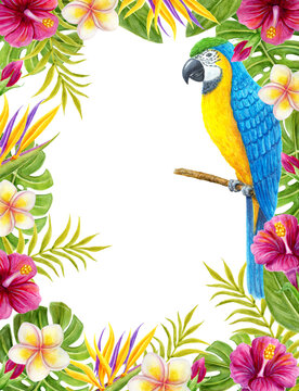 Tropical flowers frame with parrot bird. Watercolor painting with hibiscus, frangipani flowers and palm leaves. Tropic summer border..