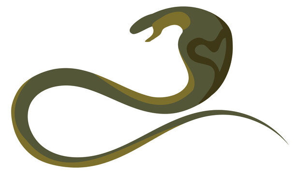 Cobra color icon. Wild poison green snake