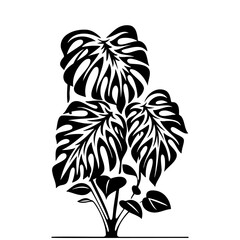 Monstera leaf silhouette black design for tropical decor. © Mamon