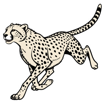 Un gu&eacute;pard qui court rapidement et qui prend un virage &agrave; gauche. De l&rsquo;avant