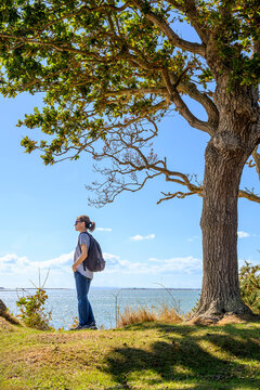 Woman Standing Under a Large Tree by the Sea
