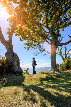 Woman Standing Under Trees by the Coast