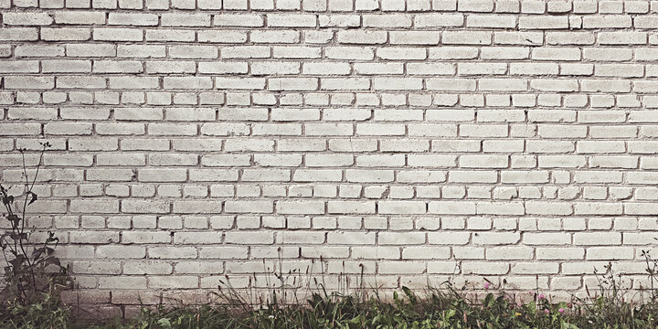 Old white brick wall providing a rough textured backdrop. Green grass and wild plants are growing along the bottom edge