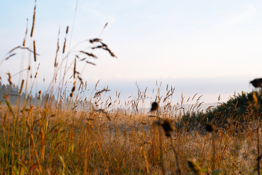 Misty Summer Sunrise Over the Sumava Landscape