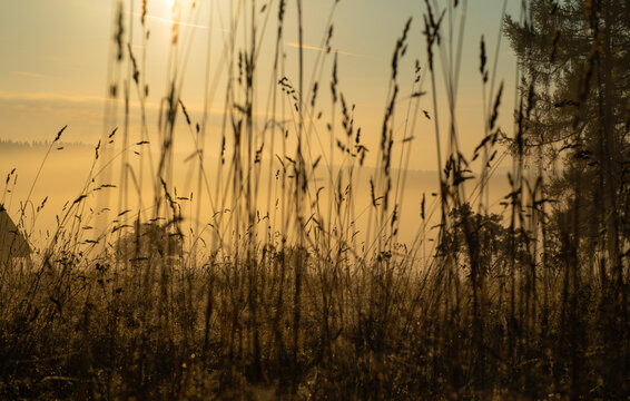 Misty Summer Sunrise Over the Sumava Landscape