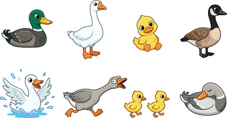 Obraz premium Cute Waterfowl Vector Cartoon Character Set Featuring Mallard Duck, White Goose, Yellow Duckling, Canada Goose, and Swan for Kids Nature Illustration Designs