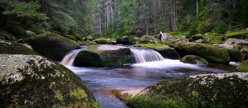 Vydra River in the Sumava Forest with Mossy Boulders