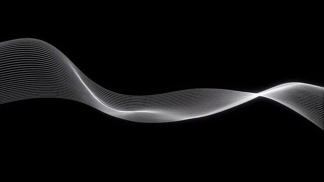 White flowing curved lines undulate smoothly across a black background. Layered composition brings together white curved lines forming and flowing motion.