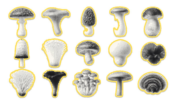 Botanical mushrooms fungi halftone dots sticker cutout sheet retro pop art wild forest toadstool flora nature diecut decal clipart vector pack