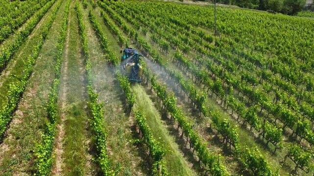 Aerial view of a tractor spraying rows of lush grapevines in a vineyard, showing modern viticulture, crop protection and agricultural work in the scenic countryside.