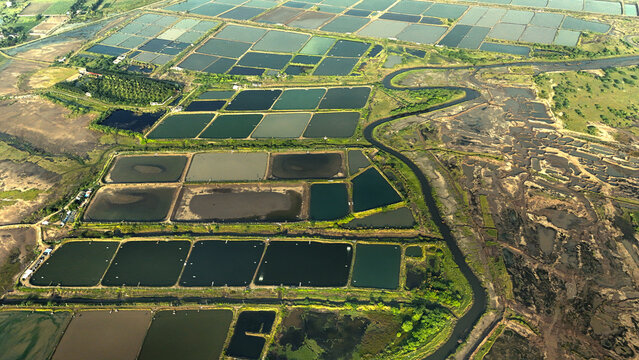 Aerial view of aquaculture ponds and a winding stream near Olpad Road in Surat, Gujarat, India.