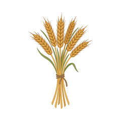 Fototapeta premium Abstract wheat vector graphic with optical illusion stripe effect