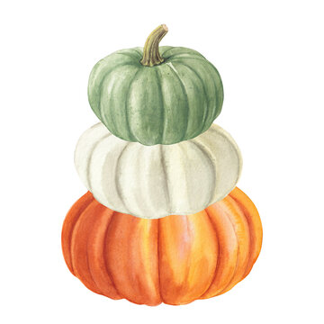 Watercolor Stack of Green, White, and Orange Pumpkins, Autumn Poster