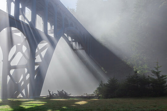 Beautiful scenic view of a historic concrete arch bridge in morning fog with bright sun rays